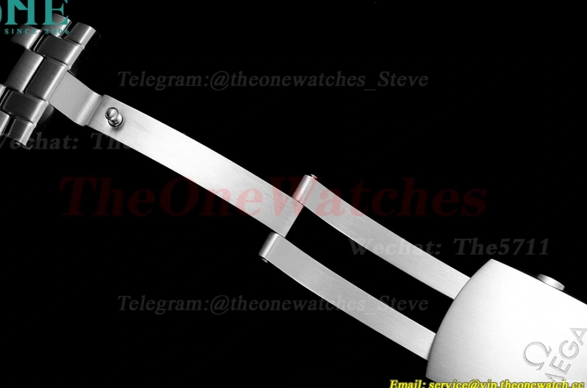 8800 Asia 300m SS 2018 Seamaster ORF Black SS 0113